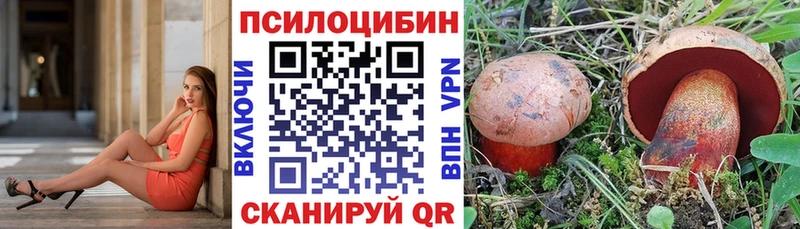 Купить  Рубцовск  Псилоцибиновые грибы Magic Shrooms 
